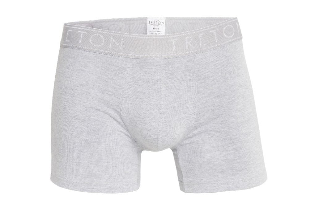 boxer